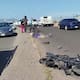 Ocho muertos y 204 lesionados en accidentes de motocicleta en Cajeme durante 2026; el exceso de velocidad es la principal causa