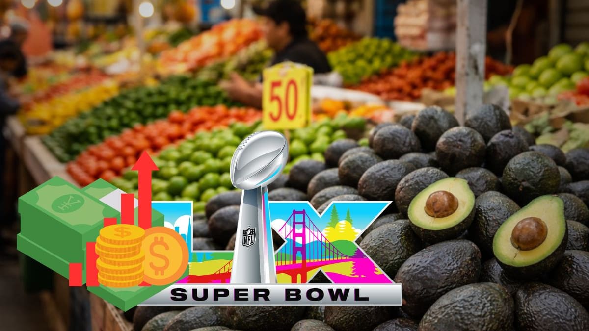 A días del Super Bowl LX, el aguacate se encarece en México por la alta demanda en EEUU: reportan alza de hasta 10 pesos por kilo y advierten impacto directo en el gasto diario