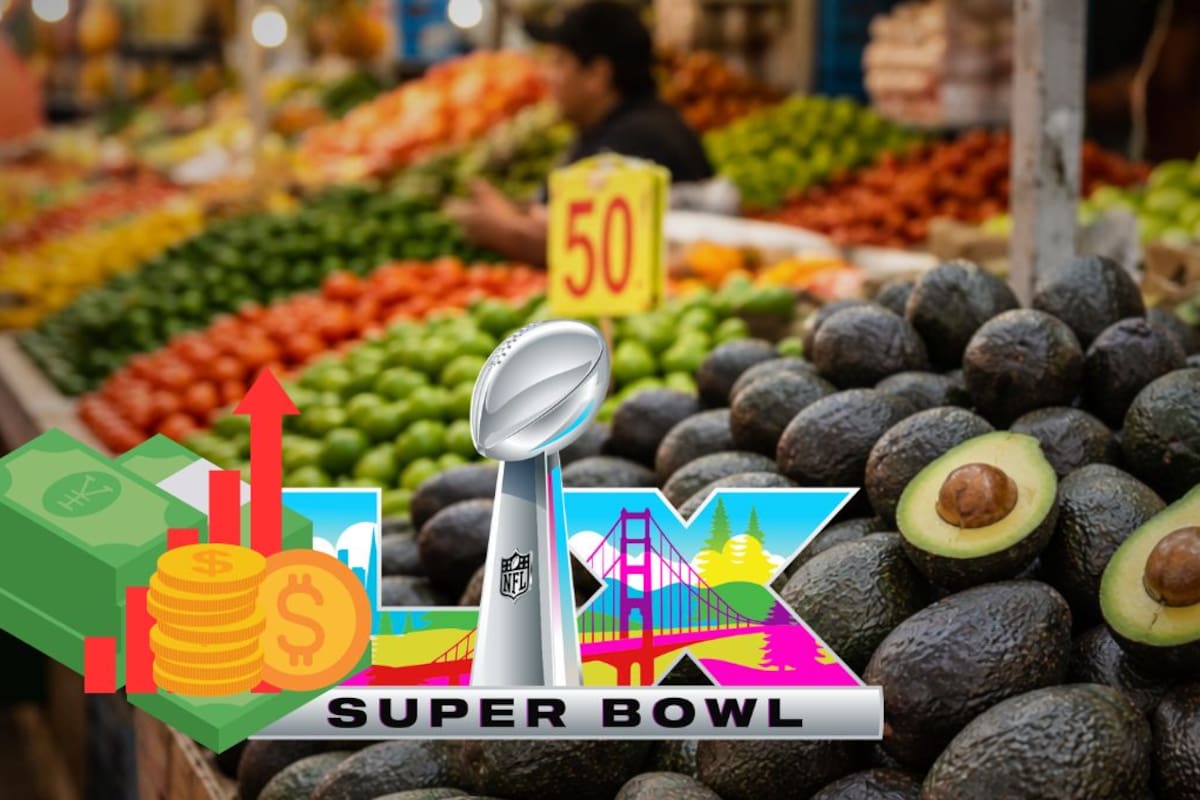 A días del Super Bowl LX, el aguacate se encarece en México por la alta demanda en EEUU: reportan alza de hasta 10 pesos por kilo y advierten impacto directo en el gasto diario
