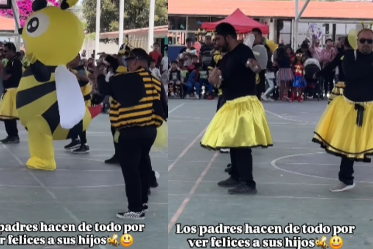 Abejas con swing: padres se lucen bailando con tutús y alas en un show escolar lleno de ternura y risas