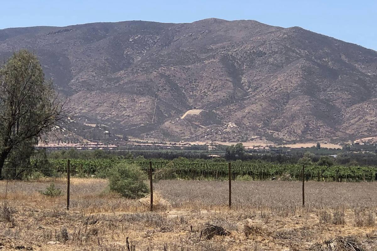 Muere joven al ser golpeado por un caballo en Valle de Guadalupe