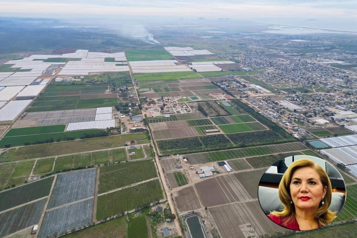 Se Suma San Quintín a programa alimentario