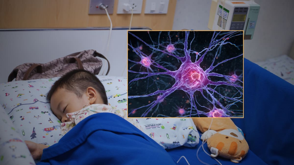 Bloquear una molécula importante en la comunicación entre células podría detener el tumor infantil más común que existe