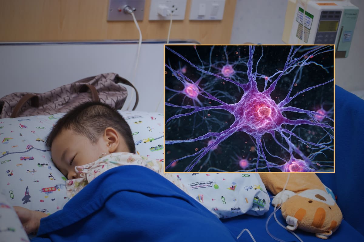 Bloquear una molécula importante en la comunicación entre células podría detener el tumor infantil más común que existe