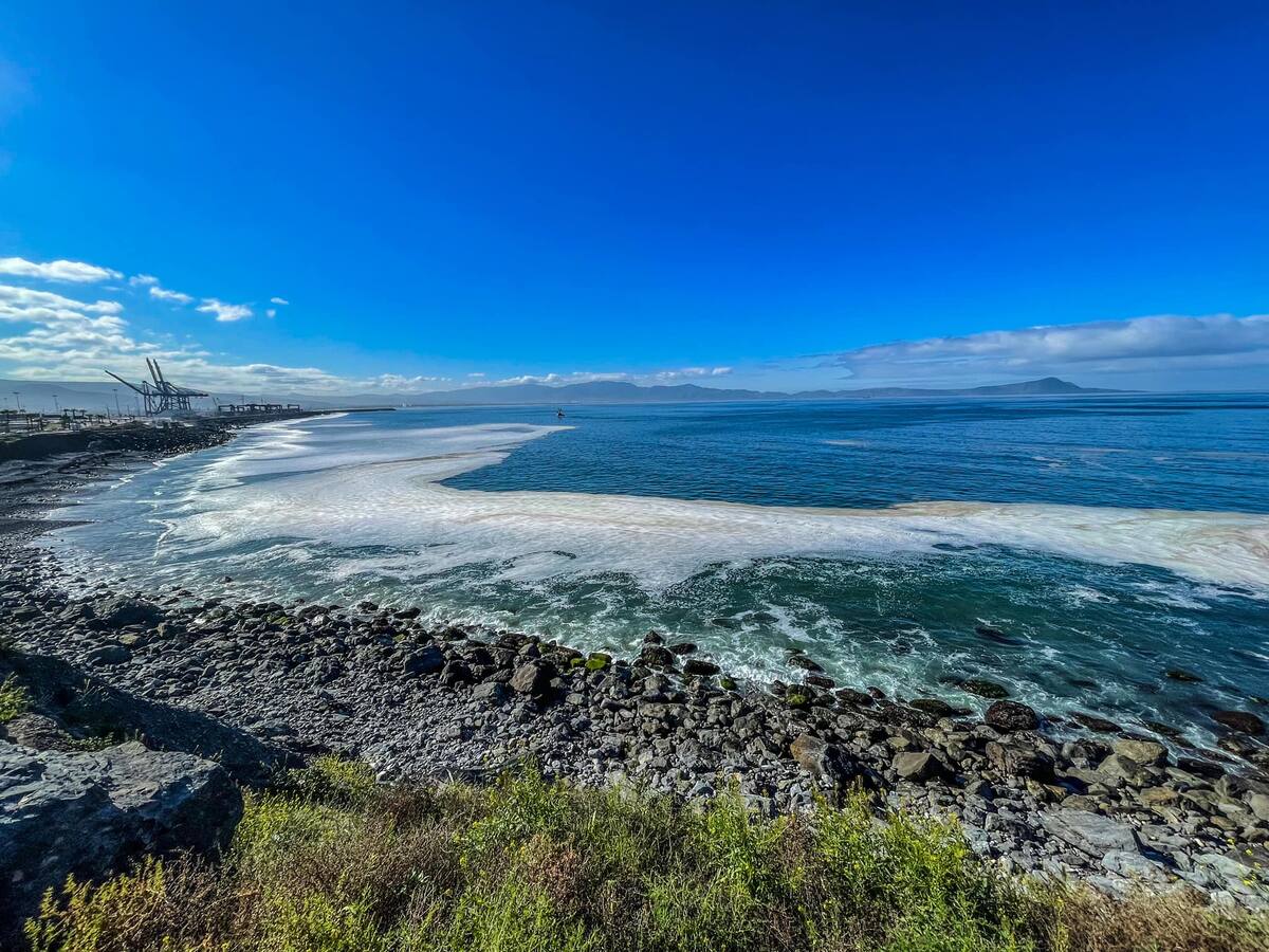 Preocupa agua turbia en el mar de Ensenada