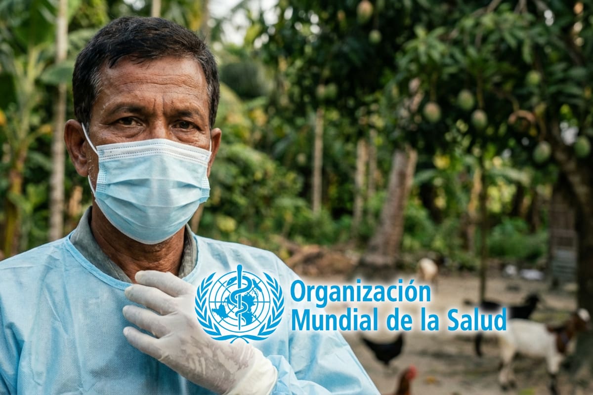 La OMS mantiene bajo vigilancia el virus Nipah tras nuevos casos en Asia: un patógeno zoonótico altamente letal, sin vacuna ni tratamiento específico, que se transmite de animales a humanos y representa un riesgo persistente para la salud pública internacional