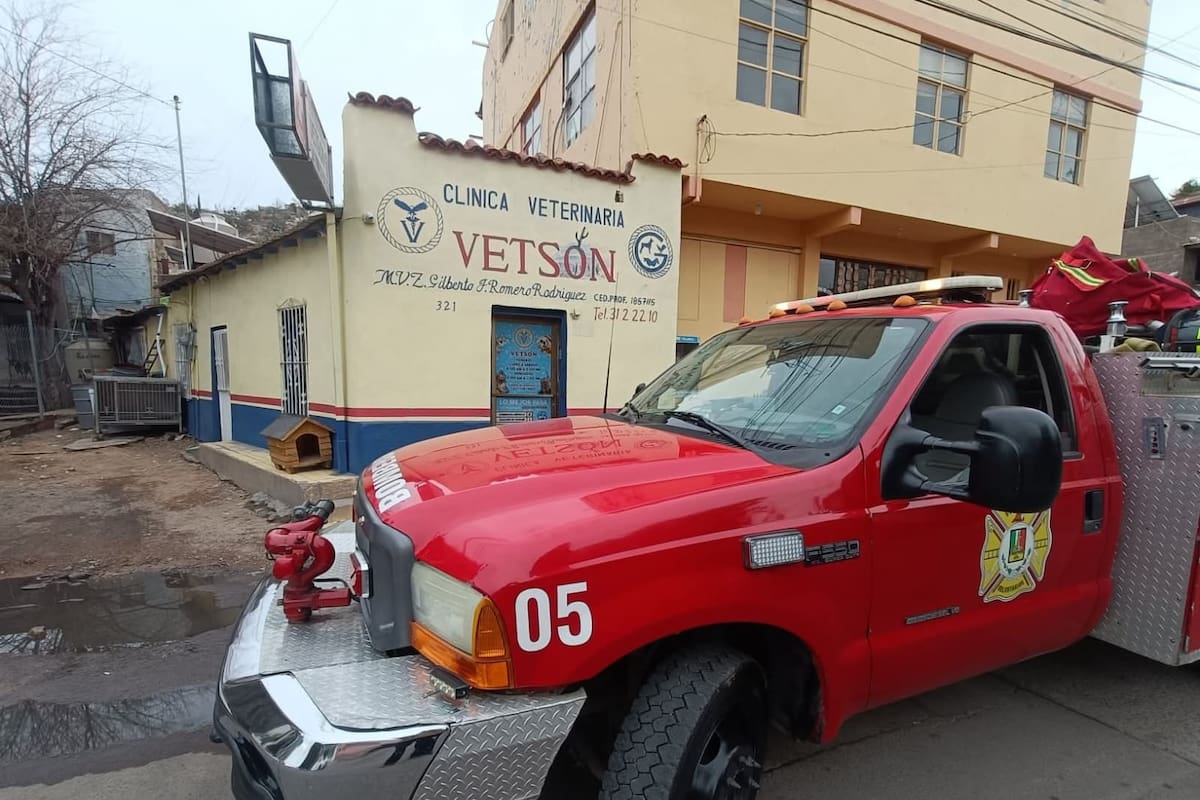 Bomberos rescatan a cachorro atrapado entre dos paredes de bloques