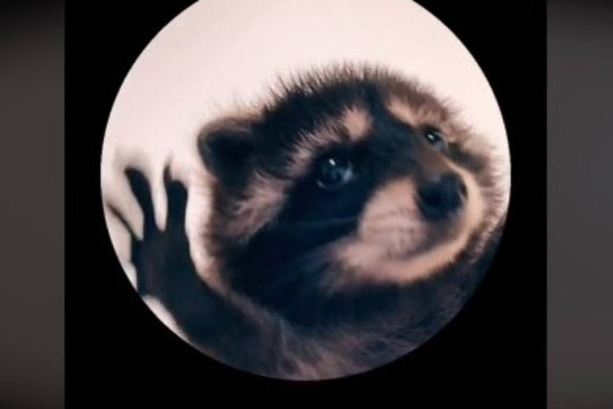 El origen del nuevo trend viral de TikTok: la canción 'Pedro, Pedro'