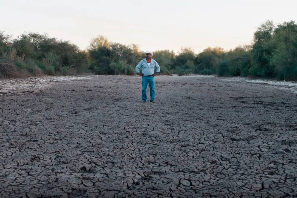 Afecta falta de agua a la flora y fauna en territorio yaqui