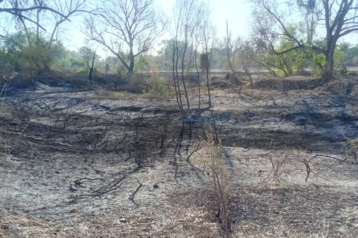 Se incendia cause del Río Mayo