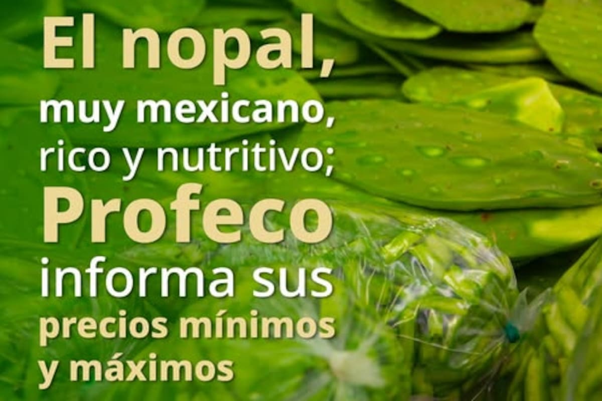 ¡Hasta en 55 pesos el kilo! Profeco revela los precios del nopal en distintos estados del país