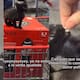 “Incluso en la caja la marcaron como si fuera un producto” Cachorrita de gato se vuelve viral tras visitar un Costco y terminar convirtiéndose en la sensación de la tienda y las redes sociales