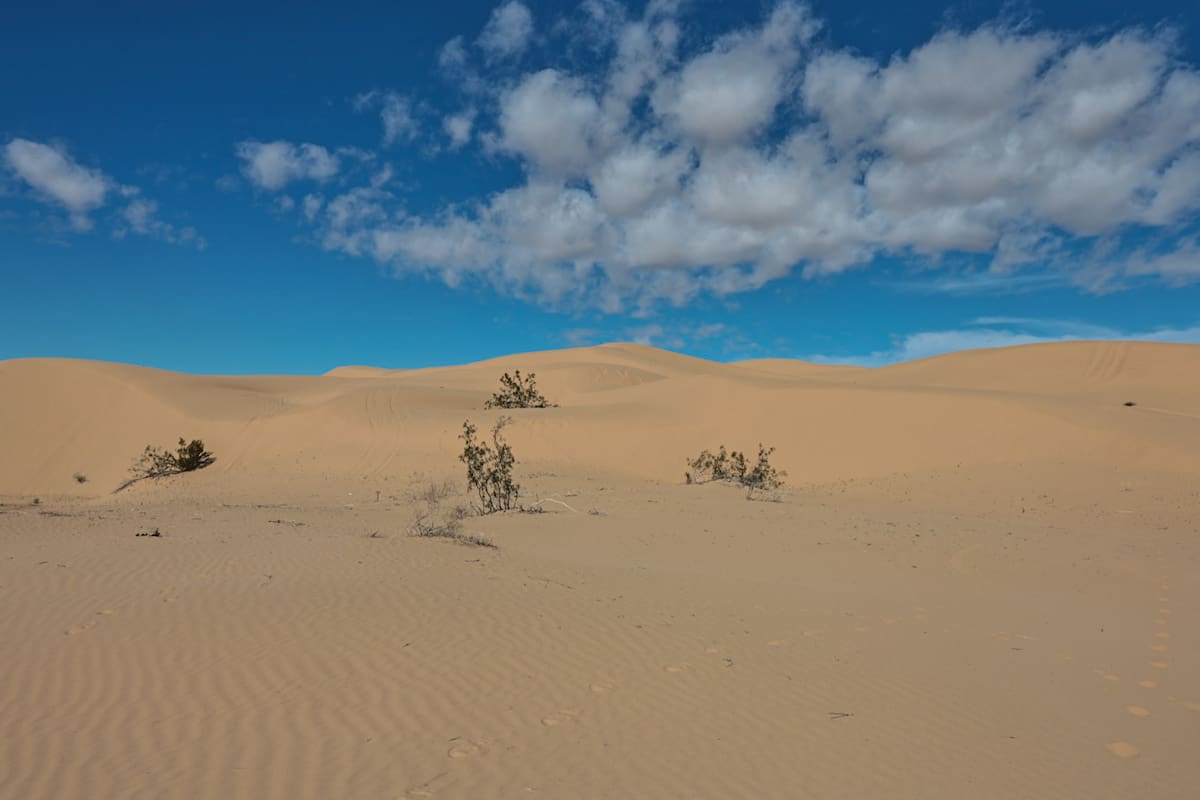 Muere pasajero tras volcadura de vehículo todoterreno en las dunas de Imperial