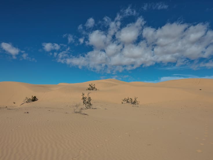 Muere pasajero tras volcadura de vehículo todoterreno en las dunas de Imperial