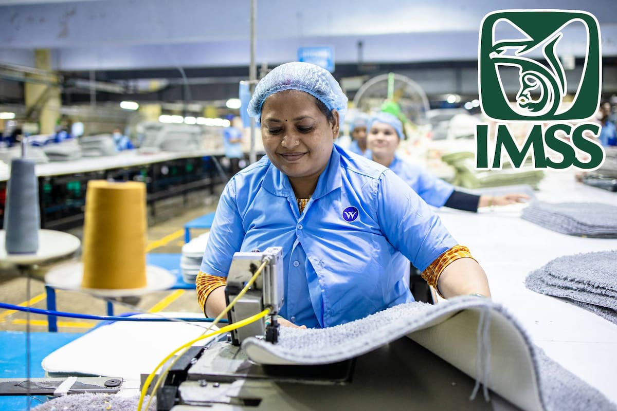 México registra récord de empleo en febrero de 2026 con 182 mil nuevas plazas formales ante el IMSS
