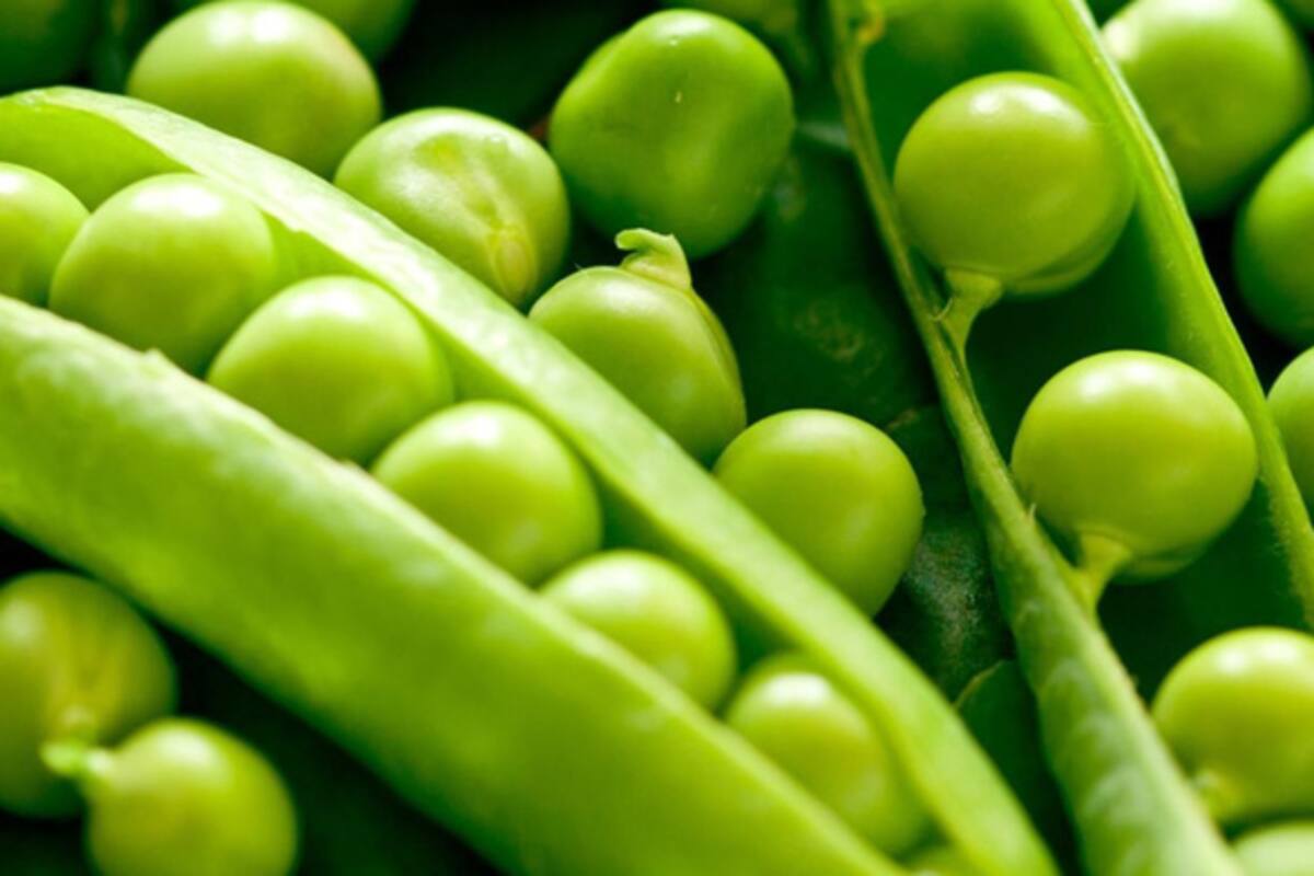 Precio de chícharos se disparará según Secretaría de Agricultura y Desarrollo Rural (Seder)