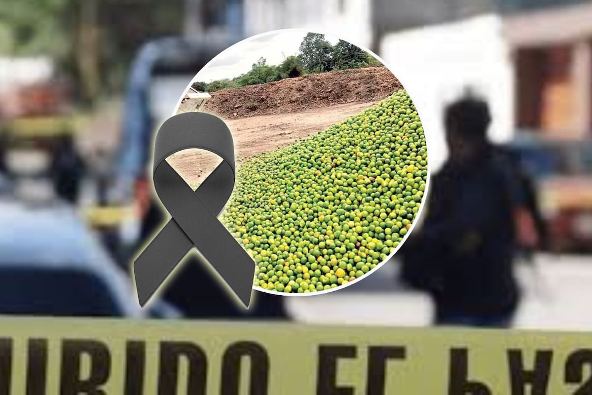 Asesinan a otro empresario de cítricos, ahora en Veracruz; señalan a grupo armado