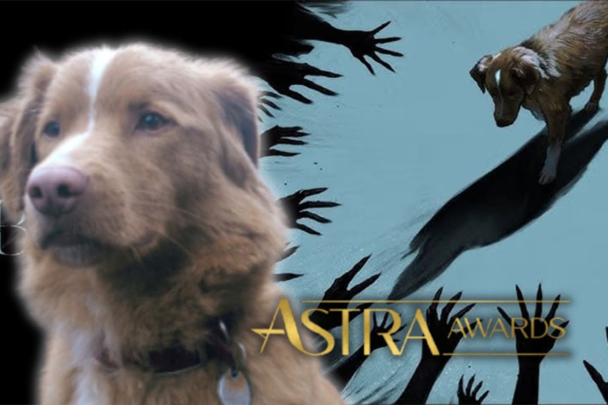 Indy, perito protagonista de “Good Boy” es nominado a Mejor Actor en los Premios Astra 2026