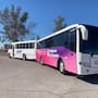IMOS busca nuevas operadoras: Más de 22 mujeres ya trabajan en el transporte masivo en Mexicali