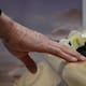 ¿Qué ocurre en el cerebro durante una experiencia cercana a la muerte?