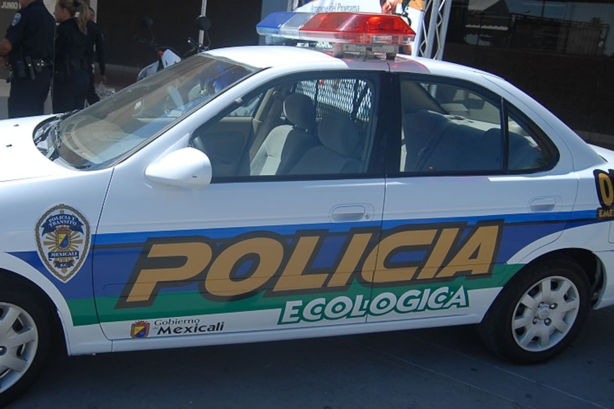 Por contaminación, policías municipales aplicarán sanciones ecológicas