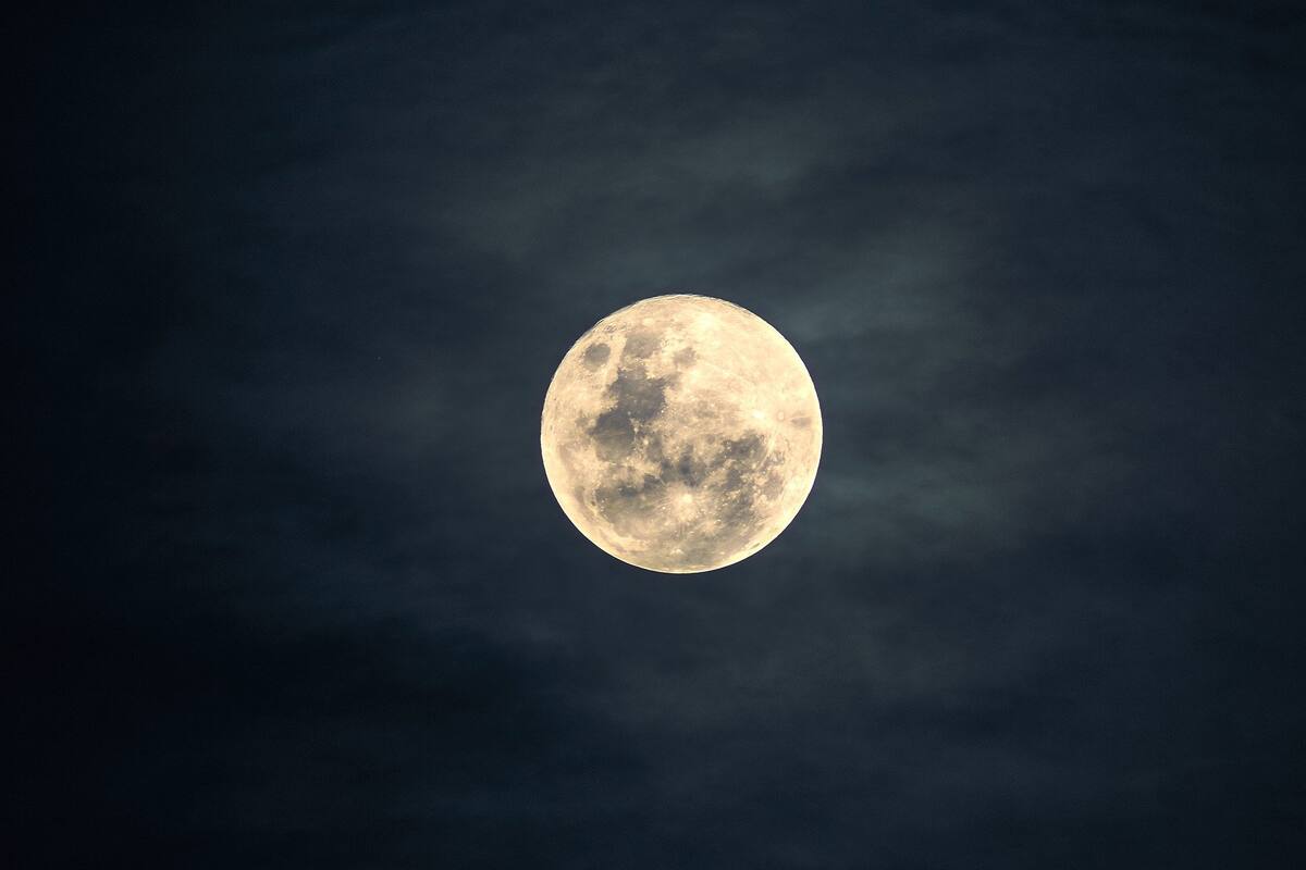 Multimillonario ofrece plazas a 8 personas para que lo acompañen en un viaje a la Luna