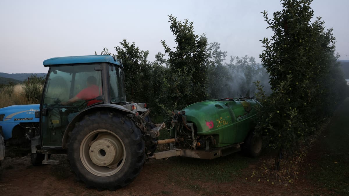 El 71% de las manzanas analizadas incluye pesticidas muy tóxicos según la Unión Europea, según información de PAN Europe. /Reuters