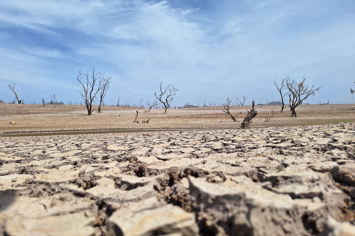 Sequía en Sonora es menor este año que el anterior: Conagua