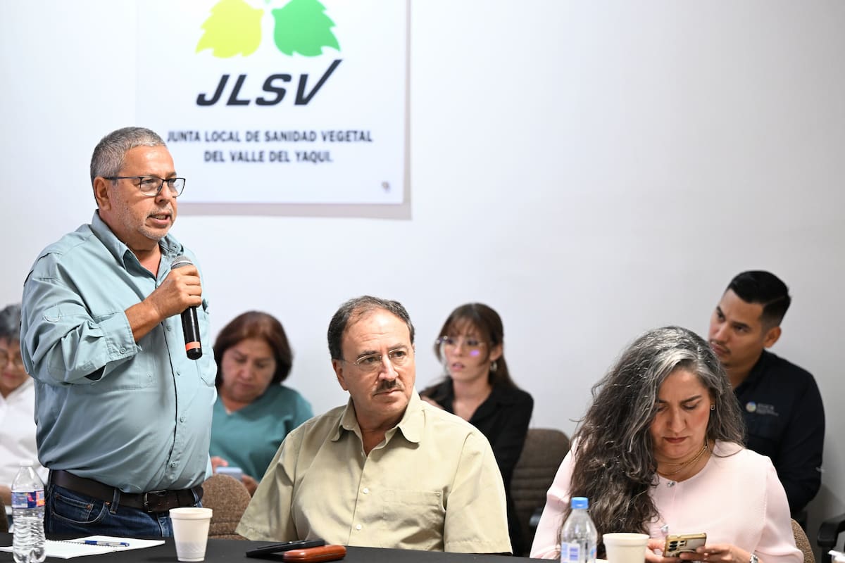 Durazo anuncia apoyo de 25 dólares por tonelada de trigo cristalino en Sonora; pagos avanzan 30% dentro de estrategia de financiamiento y reconversión del campo