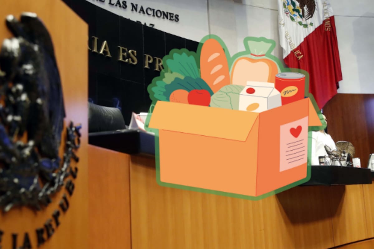 Entrega Senado más de 6,000 canastas de víveres para damnificados por inundaciones en Veracruz