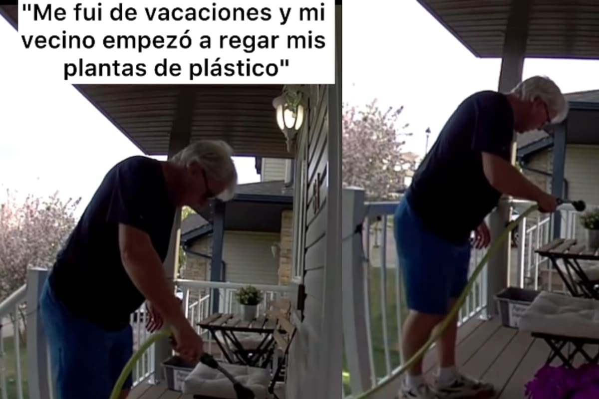 Hombre da a conocer que, mediante las cámaras, vio cómo su vecino regó sus plantas mientras él estaba de vacaciones… pero eran de plástico