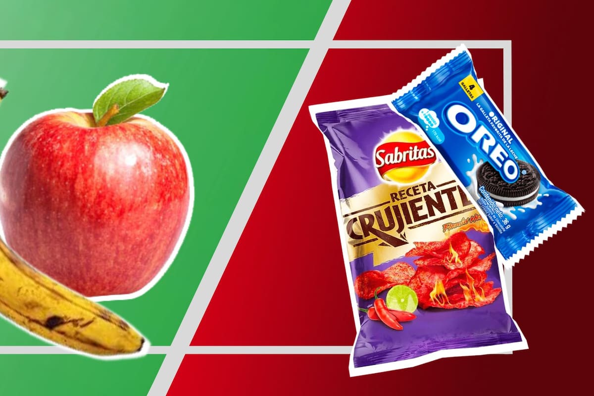 ¿Qué alimentos estará permitidos y prohibidos en las escuelas?