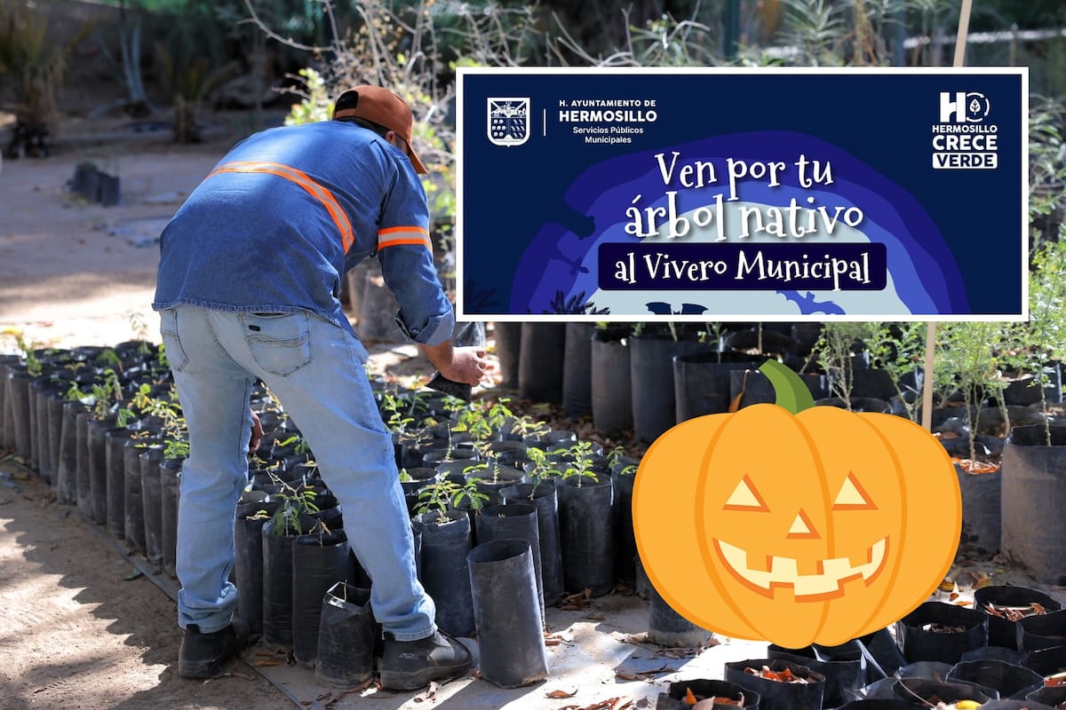 Invitan al “Halloween más ecológico del año” en el Vivero Municipal de Hermosillo