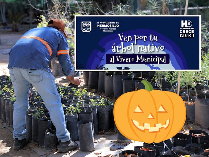 Invitan al “Halloween más ecológico del año” en el Vivero Municipal de Hermosillo