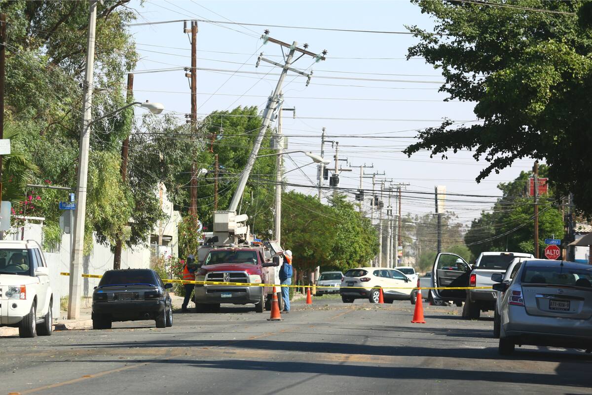 Cortes de energía, caída de árboles y cortocircuitos por vientos en Mexicali