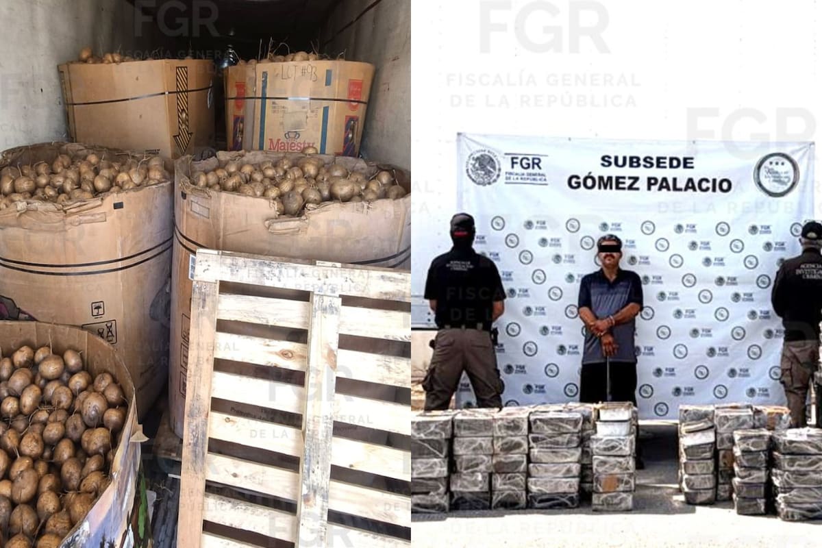 FGR asegura casi una tonelada de metanfetamina escondida en un tractocamión con jícamas