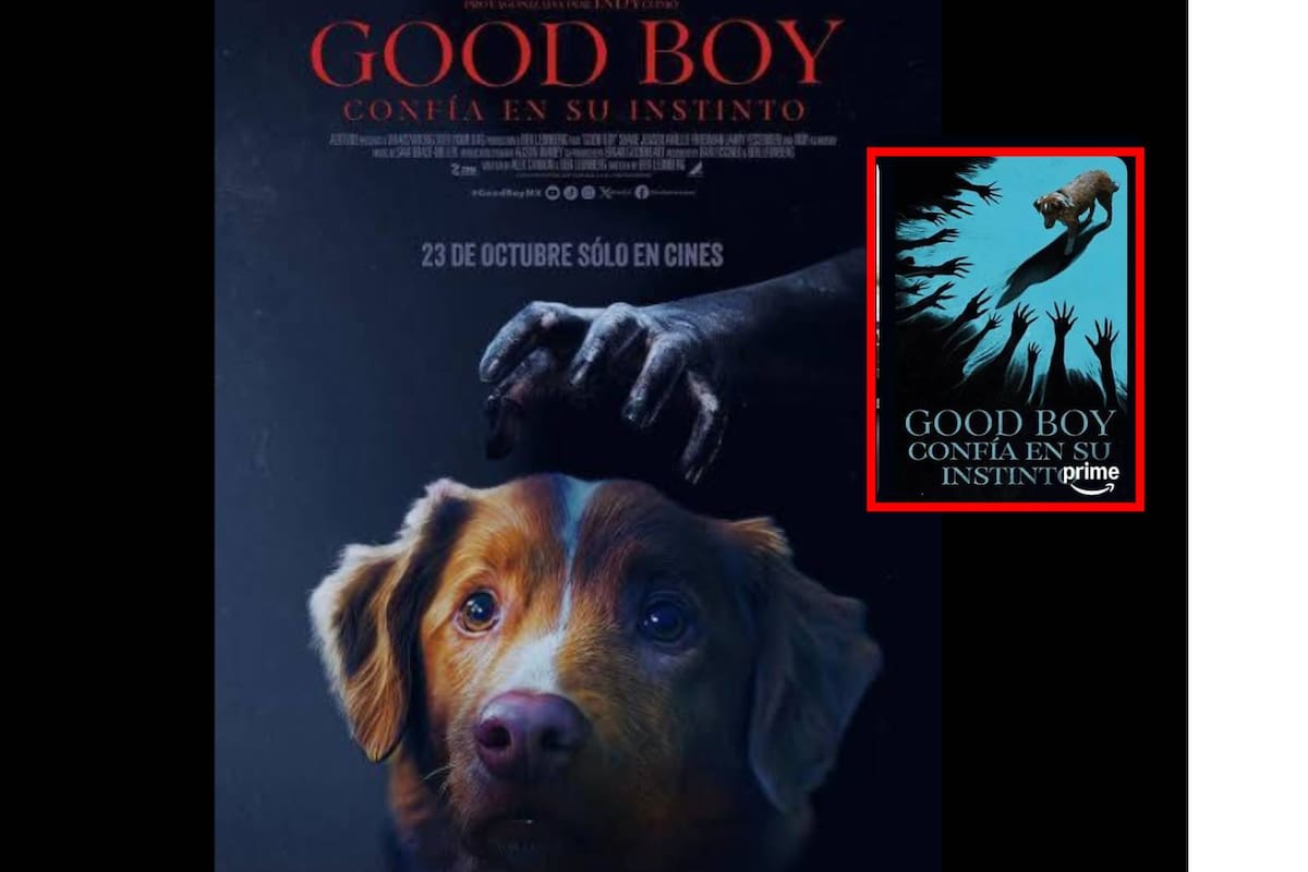 5 curiosidades de la película Good Boy, que ya está disponible en Amazon Prime Video