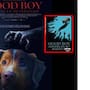 5 curiosidades de la película Good Boy, que ya está disponible en Amazon Prime Video