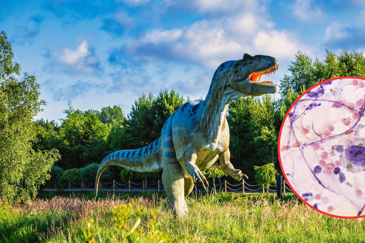 ¿Puede un dinosaurio enseñarnos sobre el cáncer? Un hallazgo fósil abre una nueva vía médica