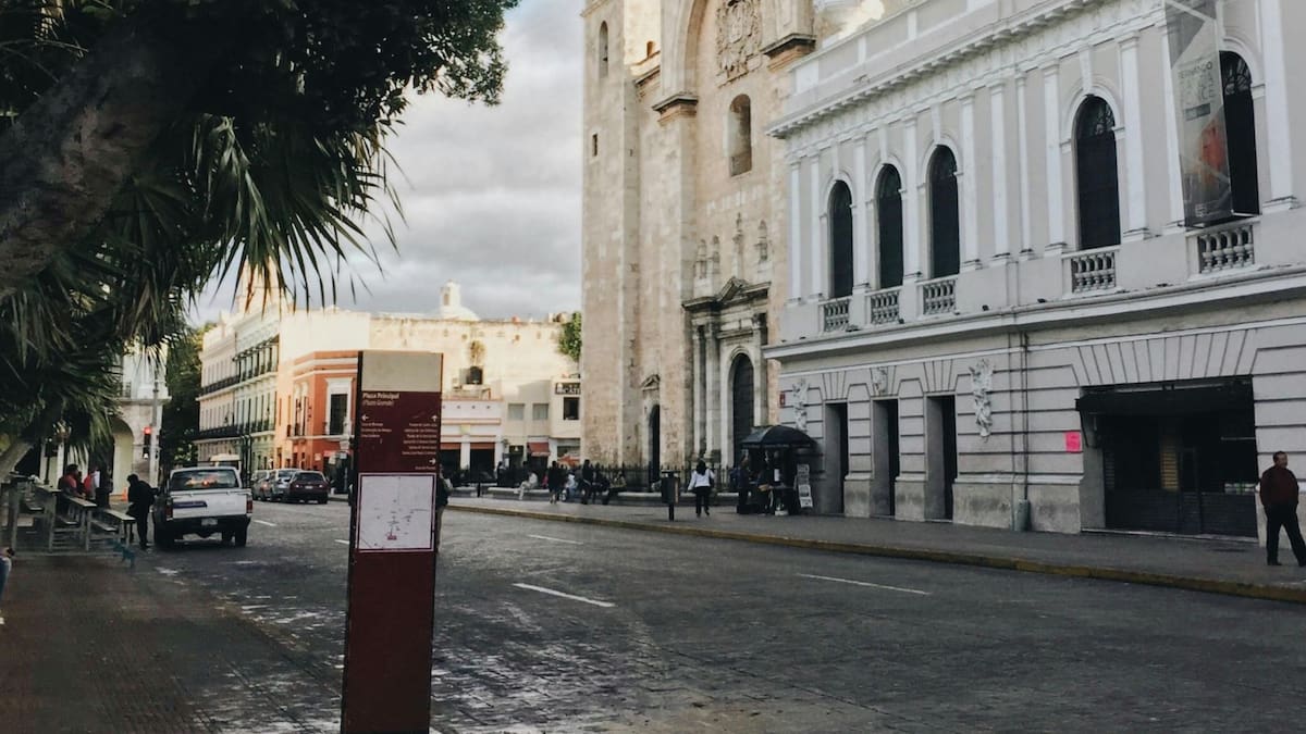 Por cobros elevados de la FIFA, la alcaldesa Cecilia Patrón cancela la proyección pública del Mundial 2026 en Mérida para utilizar los fondos municipales en la prevención de inundaciones antes de la temporada de lluvias