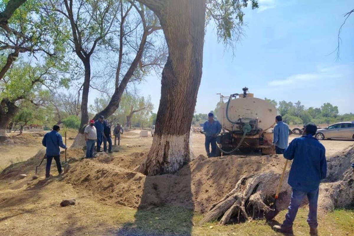 Buscan rescatar zona del río Mayo