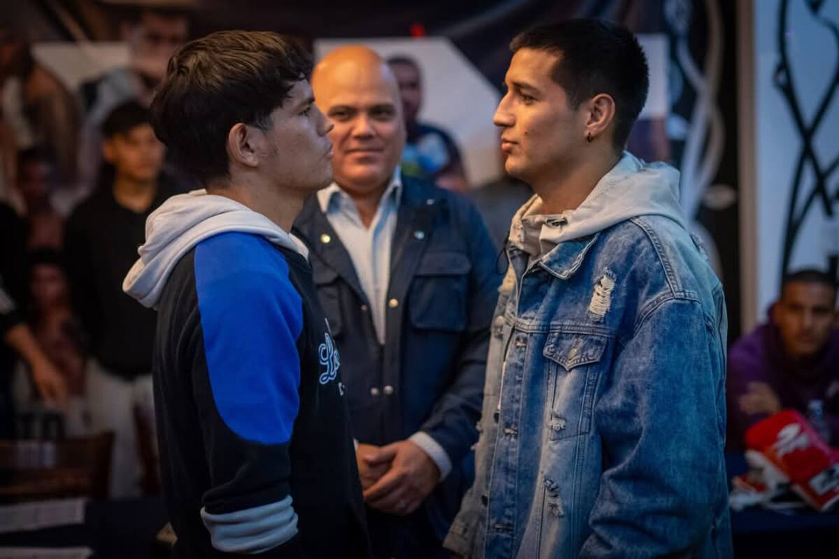 Presentan la función de Paguma Boxing