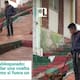 Hombre se vuelve viral en Colombia por pasear a su gallo con correa como si fuera mascota