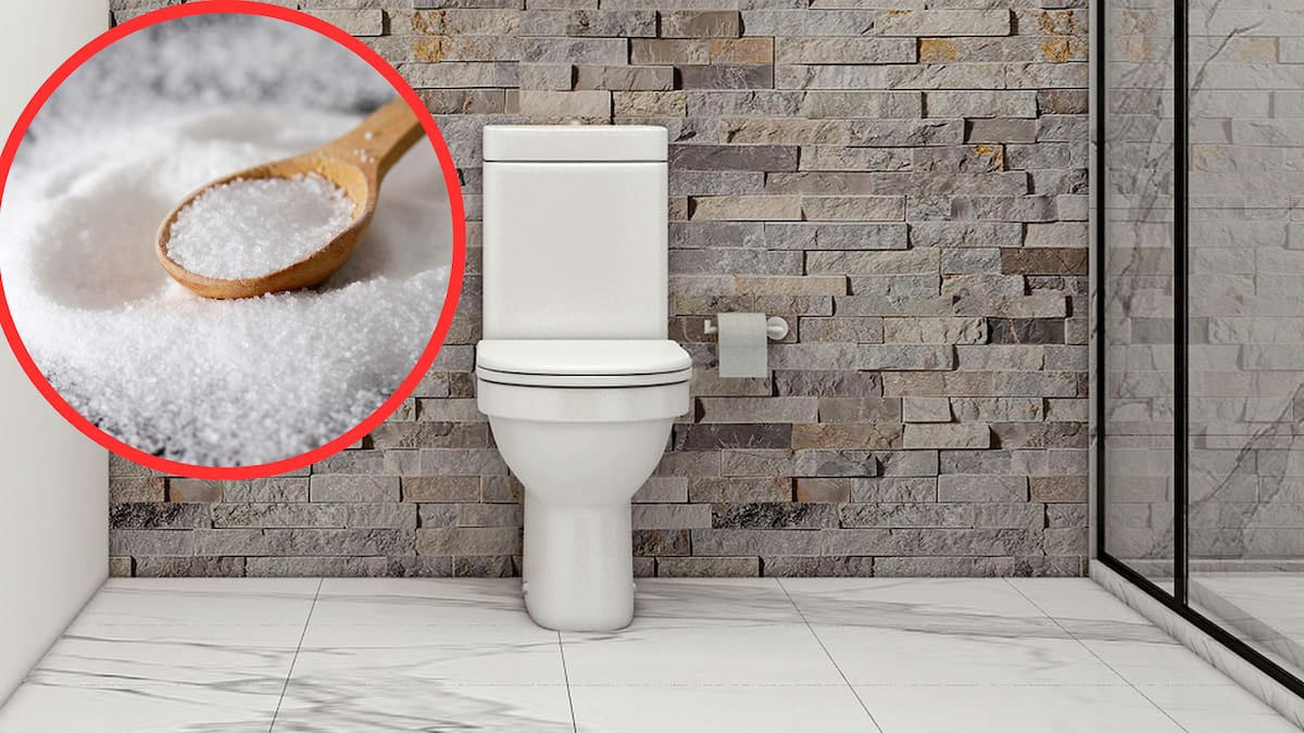 Un método casero que circula en redes propone desinfectar el inodoro con una mezcla de sal, bicarbonato de sodio y aceite neutro|Foto: Canva
