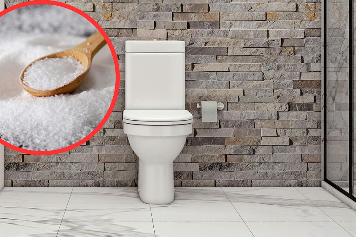 Cada cuánto limpiar el inodoro y cómo hacerlo con una mezcla casera