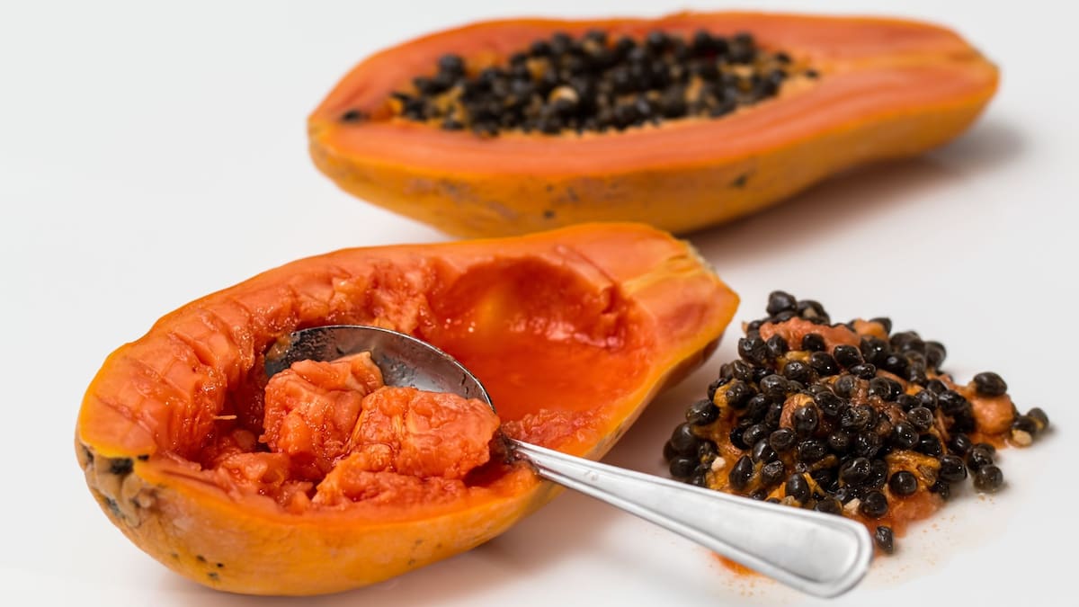 El secreto curativo de las semillas de papaya que pocos conocen | Foto: Especial