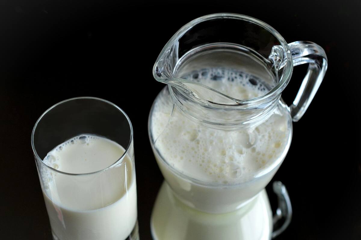 Estudio: Consumo diario de leche de vaca aumenta el riesgo de cáncer de próstata