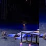 Un gato se roba el show del Ballet Imperial Ruso al adueñarse de la escena más dramática de “Romeo y Julieta” ante la mirada del público