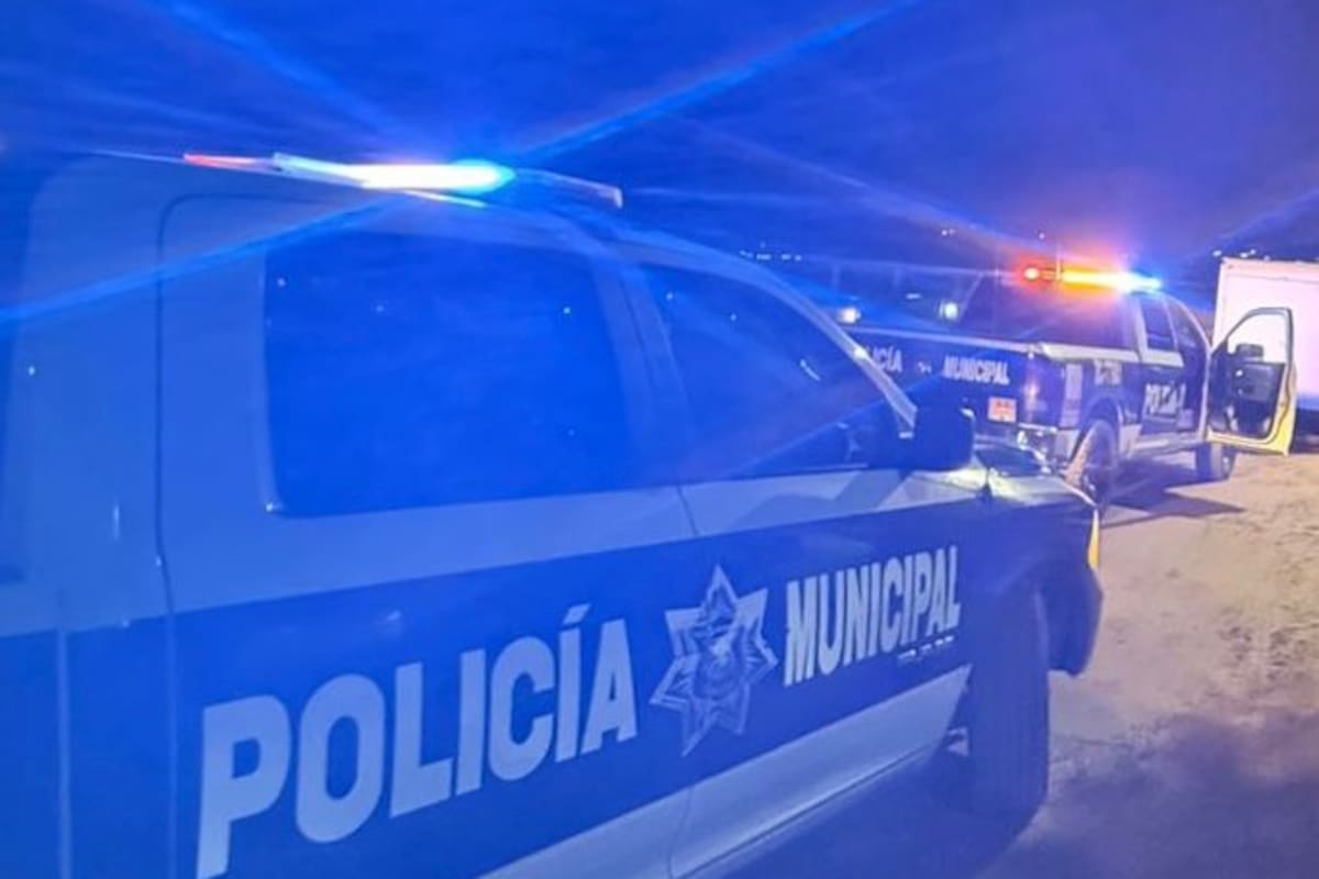 Arrestan a cuatro jóvenes por irrumpir ilegalmente en rancho agrícola