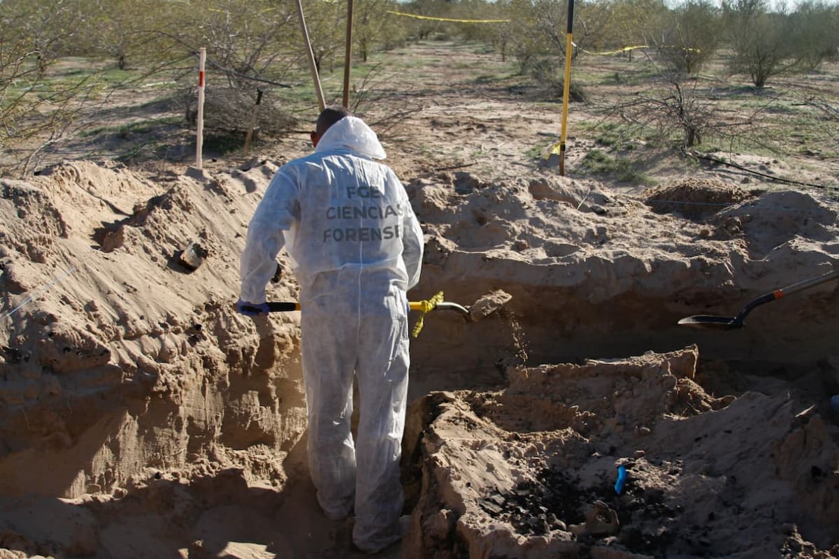 Localizan tercera fosa clandestina en el Valle de Mexicali con al menos 5 cuerpos